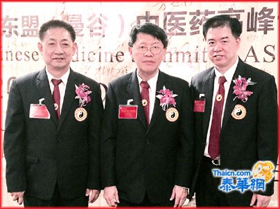 「东盟中医大团结文艺晚会」 首届东盟中医药论坛十二位中医师精彩演讲